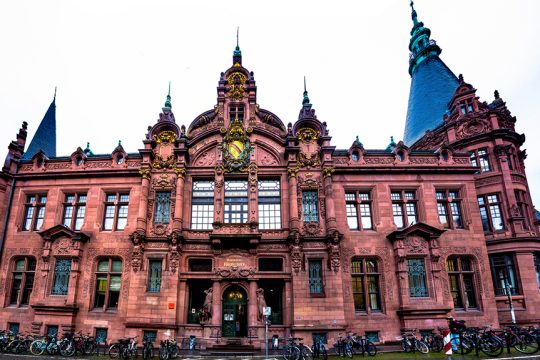 heidelberg university